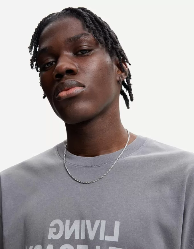 Catena in acciaio intrecciata