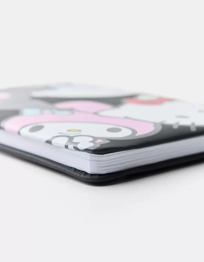 Confezione di quaderni Hello Kitty and Friends
