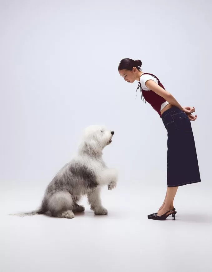 Top a corsetto con fiocchi